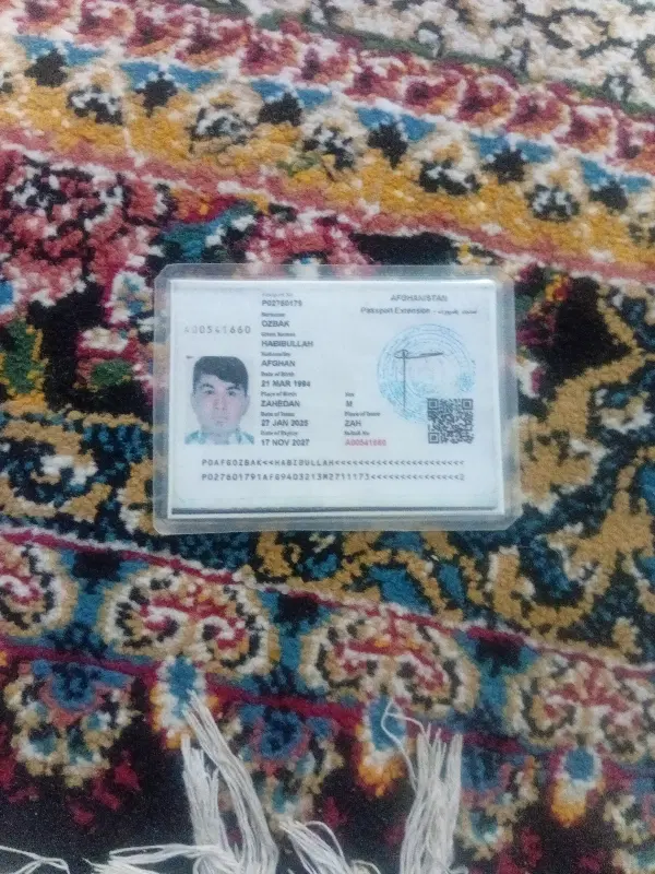 کیف|کیف، کفش، کمربند|رفسنجان, |دیوار