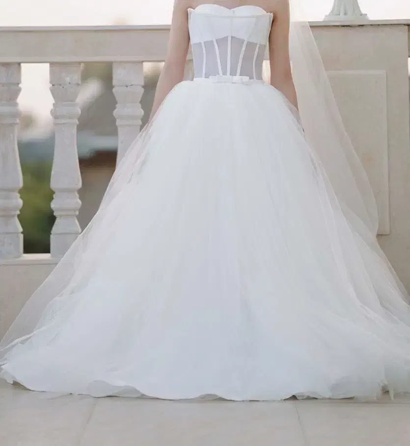 لباس عروس اروپایی|لباس|ساری, |دیوار