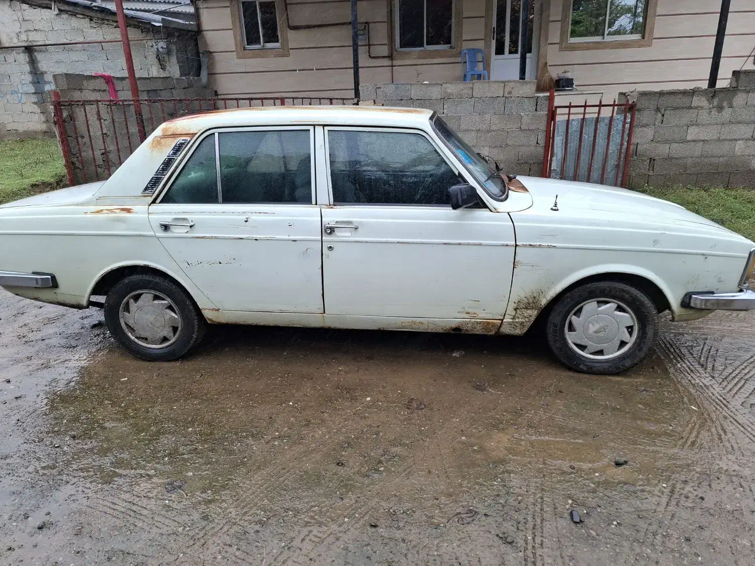 ماشین پیکان مدل 82|خودرو سواری و وانت|فومن, |دیوار