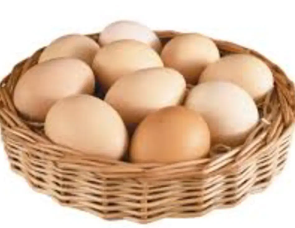 تخم مرغ محلی|خوردنی و آشامیدنی|زنجان, |دیوار