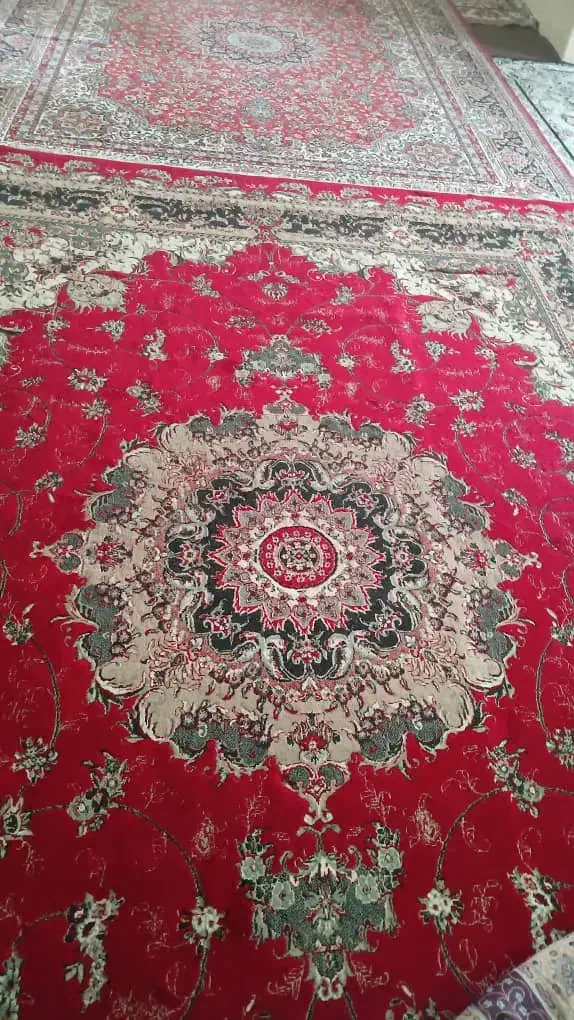 قالی ۱۲ متری|فرش|یزد, |دیوار