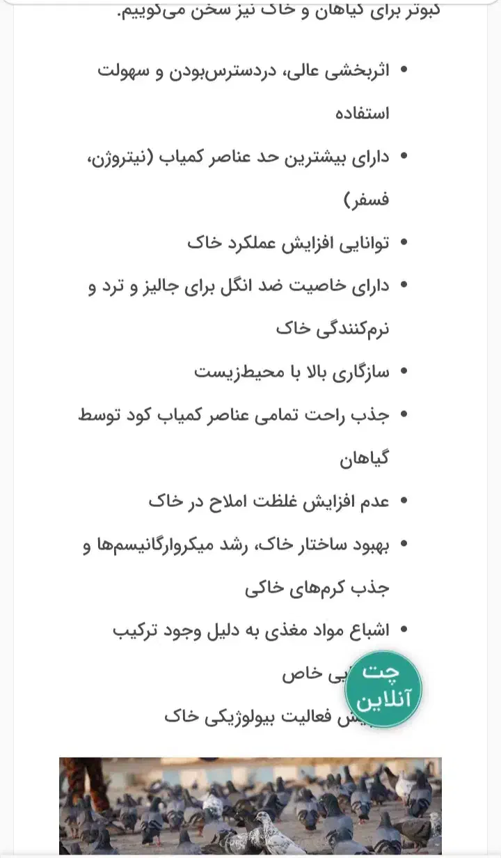 کود.کبوتر.فروشی.کفتر|گل و گیاه طبیعی|قم, آذر (نکویی)|دیوار