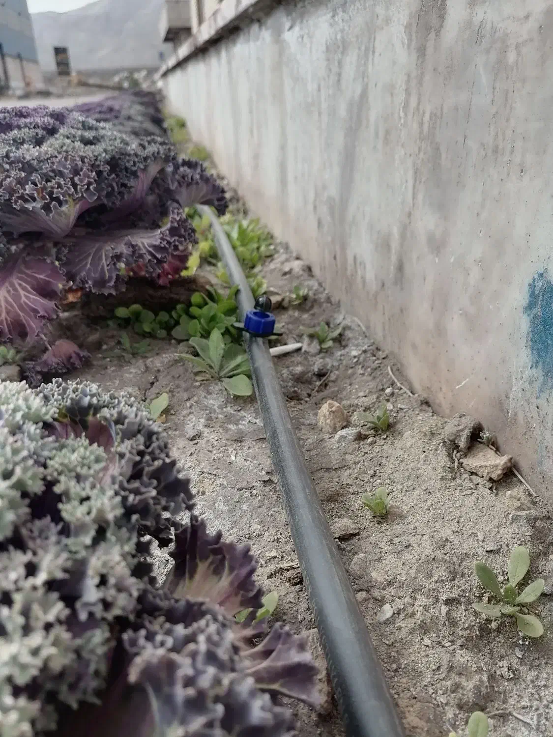 لوله کشی|خدمات پیشه و مهارت|نیریز, |دیوار