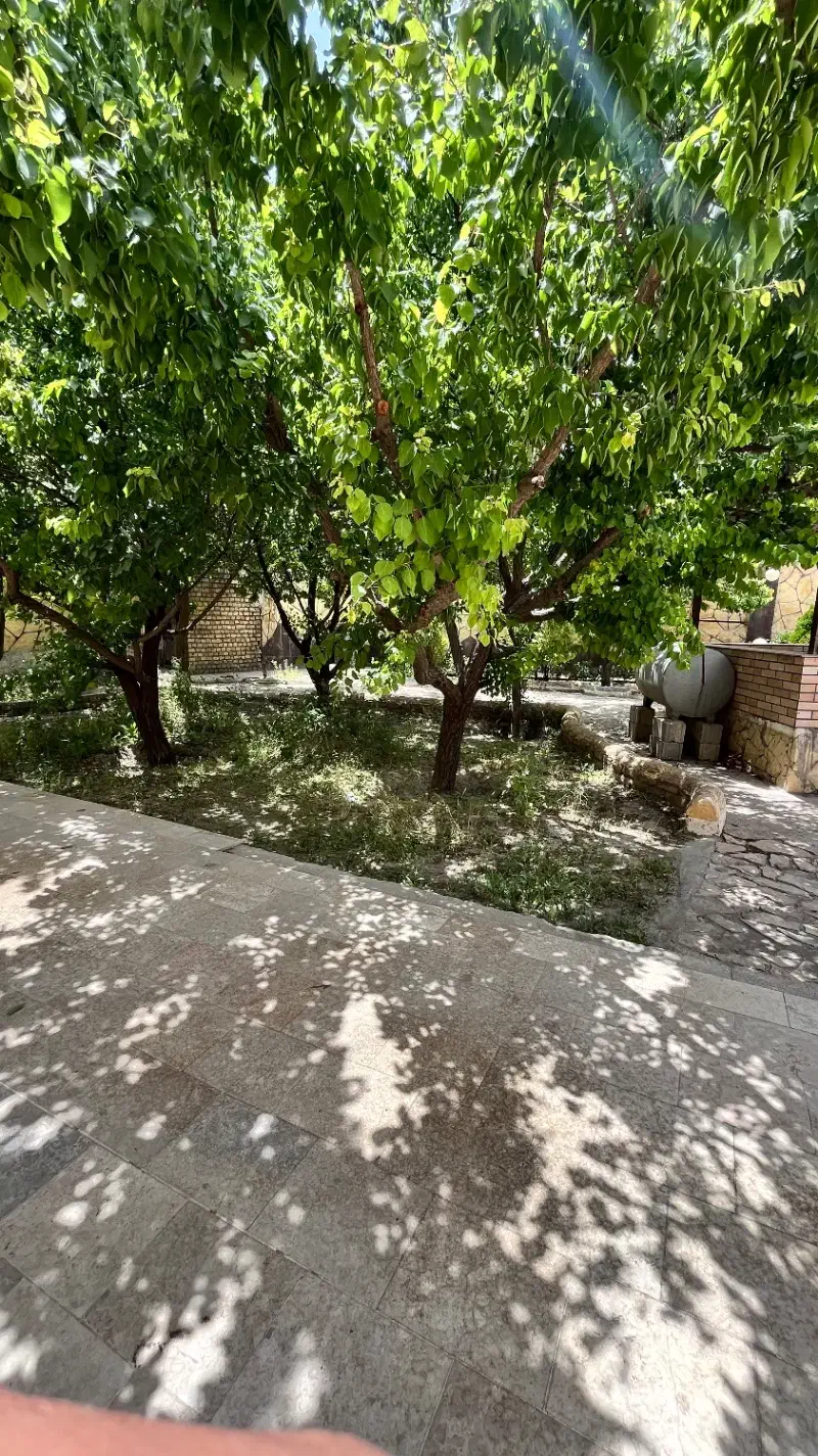 تصویر 8