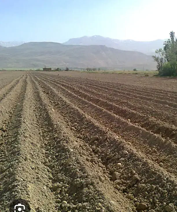چاه عمیق کیلومتر ۴۵جاده نیشابور-سبزوار|فروش زمین و ملک کلنگی|فیروزه, |دیوار