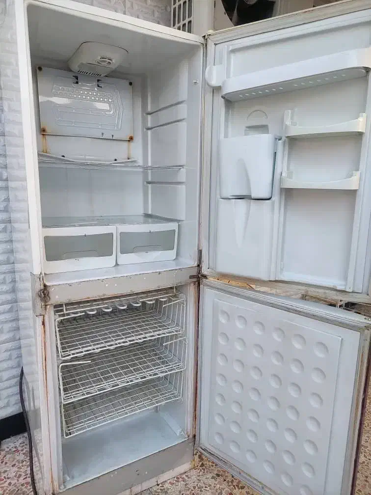 یخچال‌‌|یخچال و فریزر|لالی, |دیوار