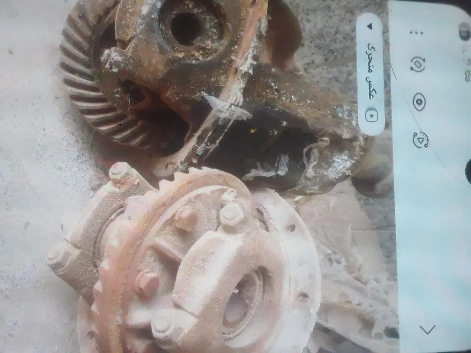 فروش دوعددکله گاوی پیکان|قطعات یدکی و لوازم جانبی|زارچ, |دیوار