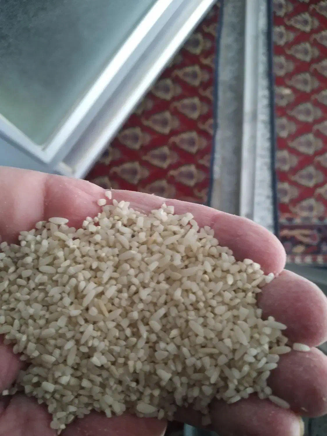 خرده برنج لنجان خالص|خوردنی و آشامیدنی|مبارکه, |دیوار