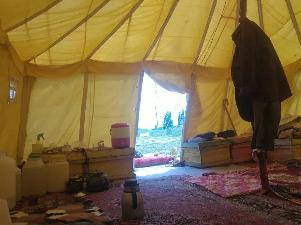 چادرعشایری|کوهنوردی و کمپینگ|ارومیه, |دیوار