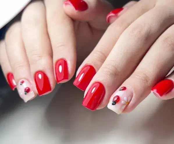 60% تخفیف کاشت ناخن|خدمات آرایشگری و زیبایی|خوی, |دیوار