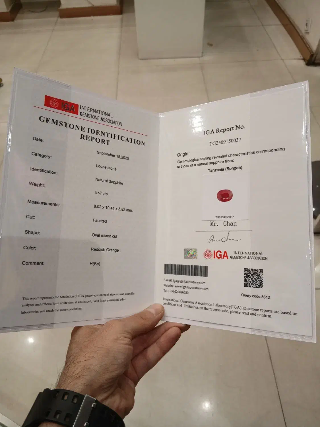 یاقوت سونچیا شناسنامه دار|جواهرات|تهران, بلوار کشاورز|دیوار