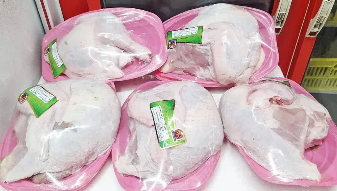 سینه .ران .گردن. جیگر بوقلمون|خوردنی و آشامیدنی|جهرم, |دیوار