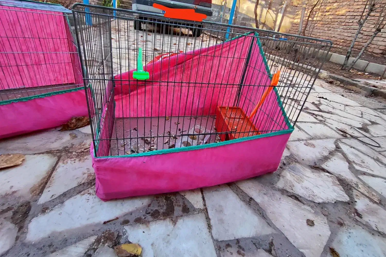 2جفت مرغ عشق تخم گذارونژاد دار با3عددقفس بزرگ دودر|پرنده|کرمان, |دیوار