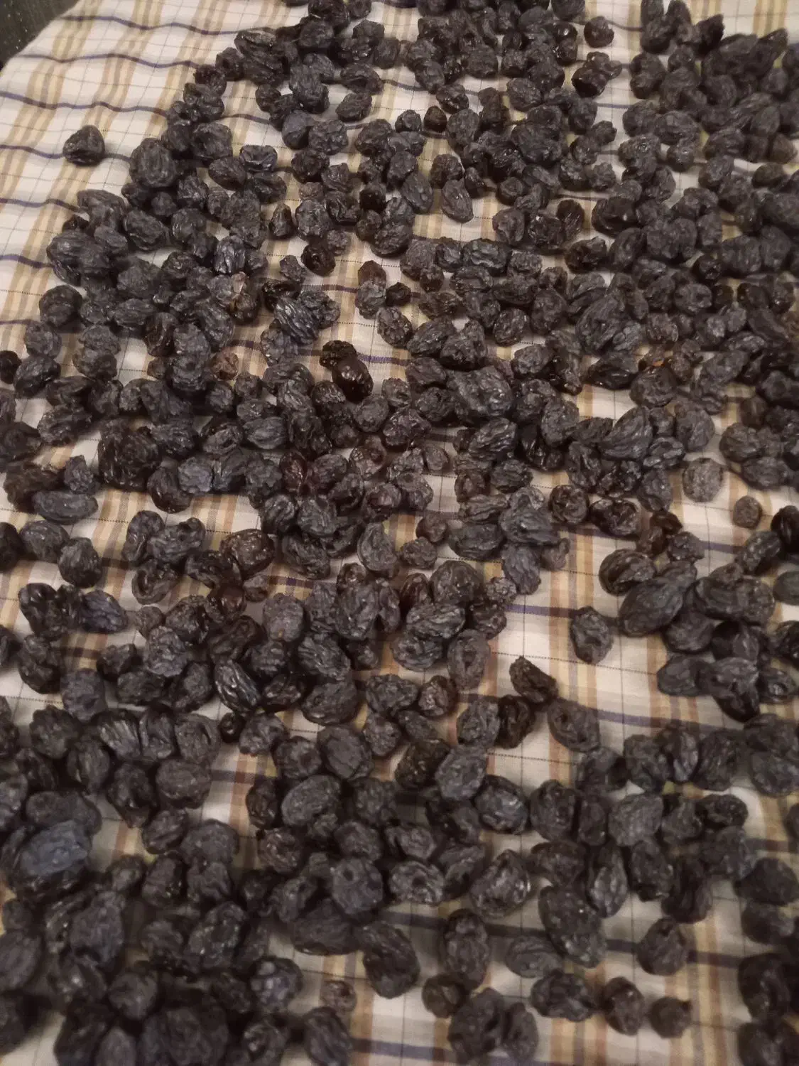 مویز لعل درجه یک ،مخصوص شب یلدا|خوردنی و آشامیدنی|شاهرود, |دیوار