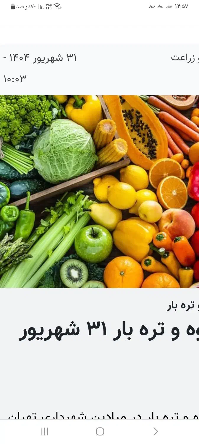 وانت بارتره بارمرکزی|عمده‌فروشی|تهران, میدان میوه و تره‌بار مرکزی|دیوار