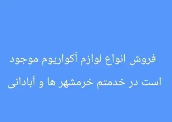 ماهی و آکواریوم|ماهی|خرمشهر, |دیوار