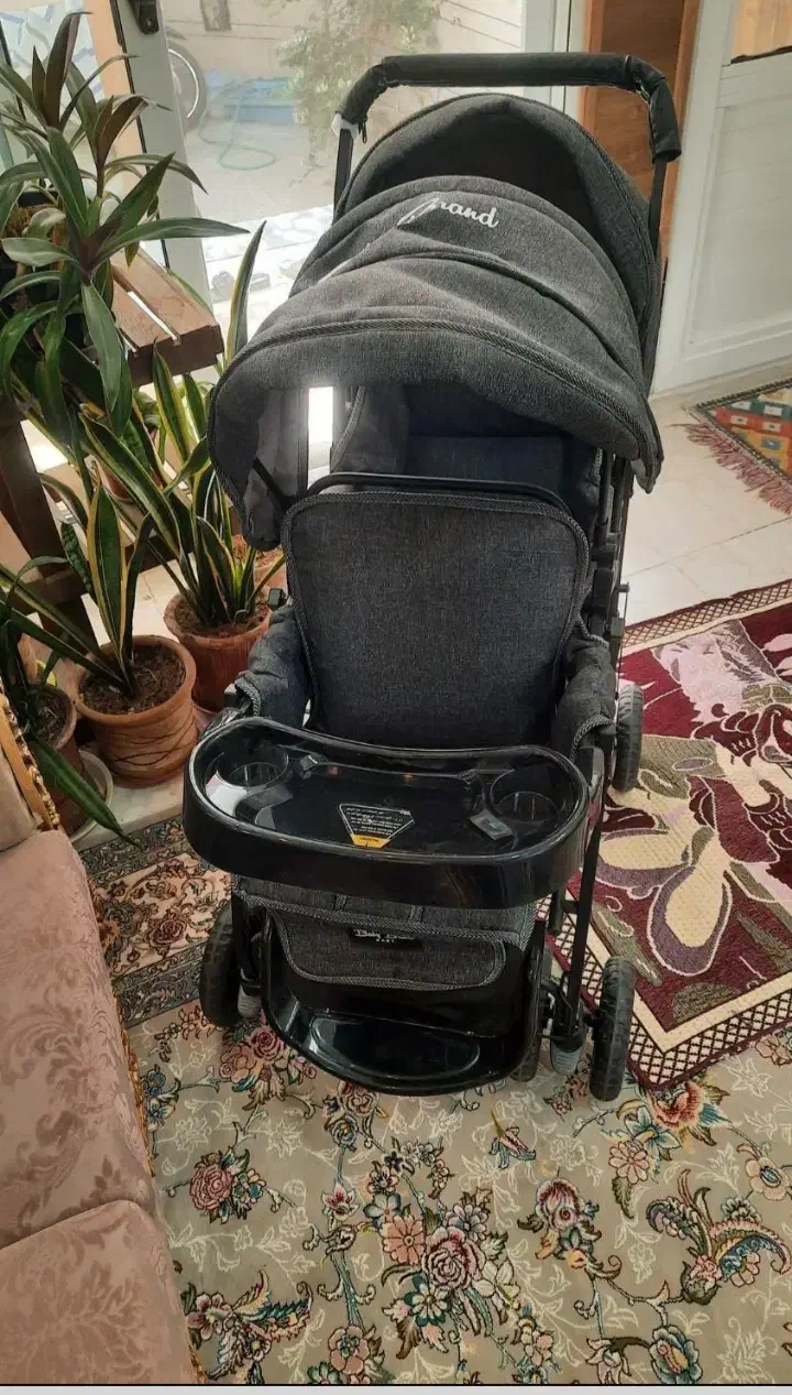 کالسکه دوقلو یی|کالسکه و لوازم جانبی|دلیجان, |دیوار