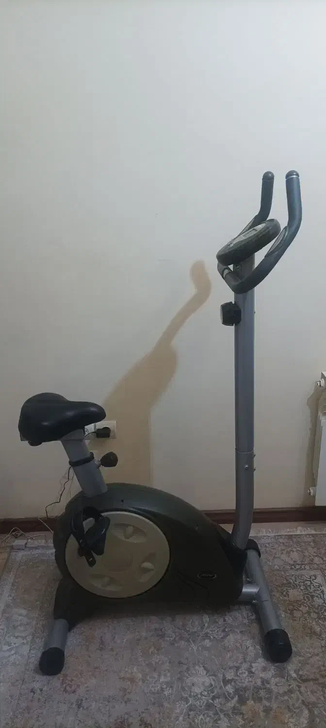 دوچرخه ثابت ورزشی ( Life Gear) ساخت چین|تجهیزات ورزشی|هشتگرد, شهرک ریحانه|دیوار