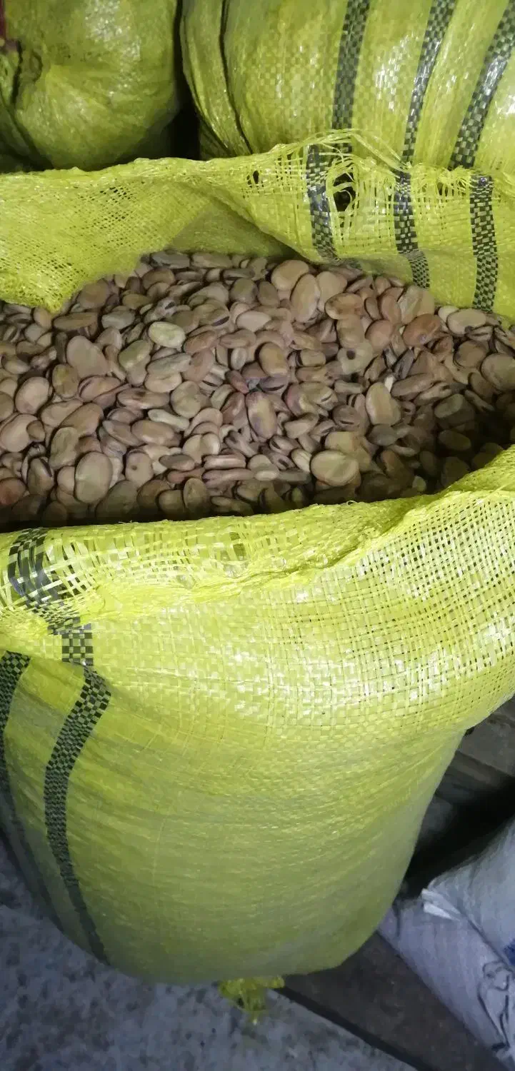 باقلا خشک تمیز و پزا، خو پخت|خوردنی و آشامیدنی|کوهی‌خیل, |دیوار