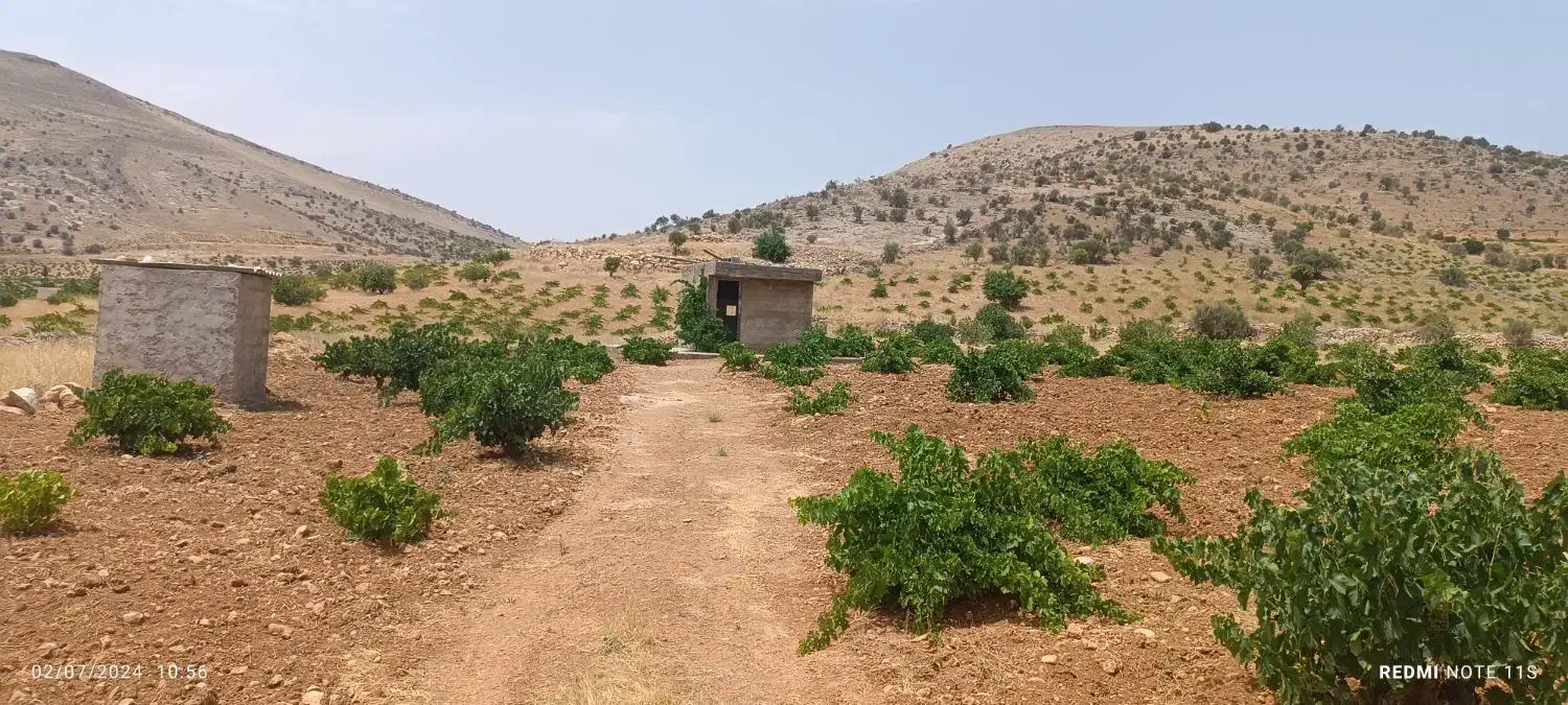 فروش باغ روستای بردج قابل معاوضه|فروش زمین و ملک کلنگی|شیراز, نصر|دیوار
