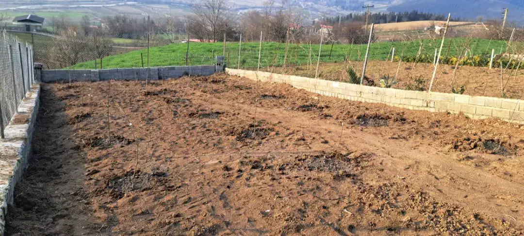 ۳۰۸ متر زمین در روستای گردشی ساری|فروش زمین و ملک کلنگی|کیاسر, |دیوار