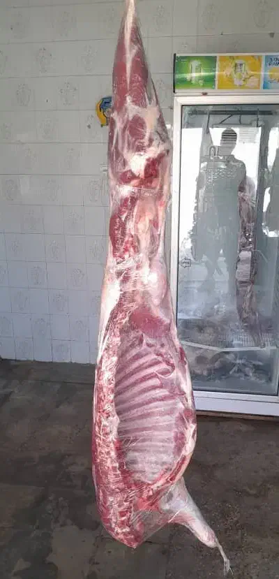 گوشت گوسفند بز|خوردنی و آشامیدنی|شیراز, شهرک مطهری|دیوار