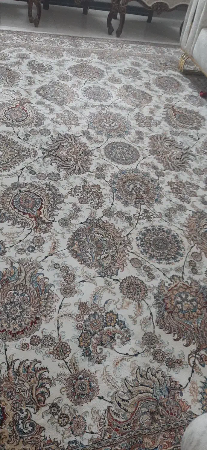 فرش 12 و9متری|فرش|قم, باغ کرباسی|دیوار