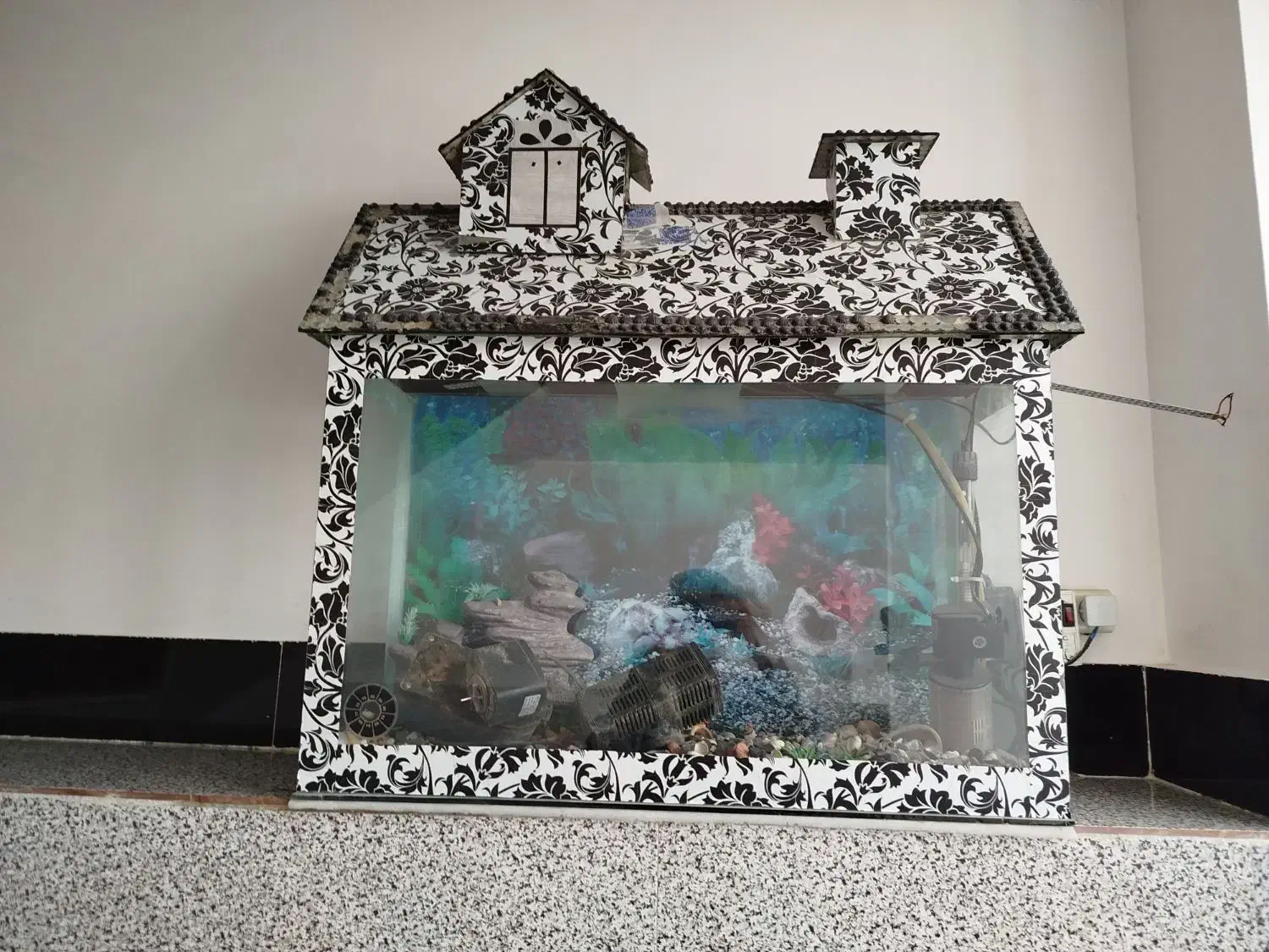 آکواریوم سالم|ماهی|میاندوآب, |دیوار