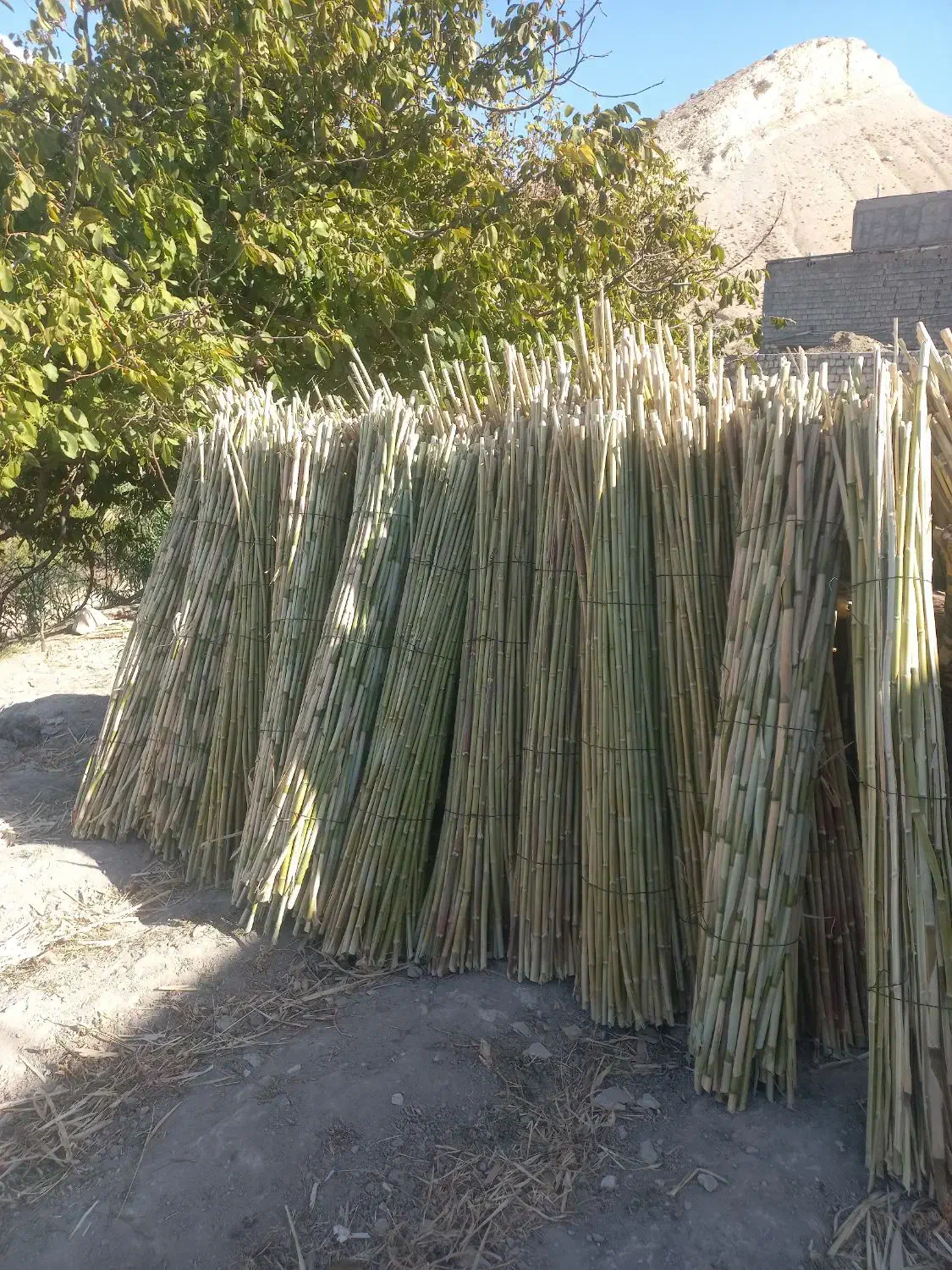 چیت|روفرشی|سیوان, |دیوار