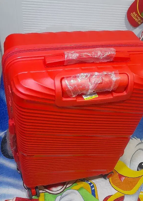 چمدان با اندازه متوسط|کیف، کفش، کمربند|همدان, |دیوار