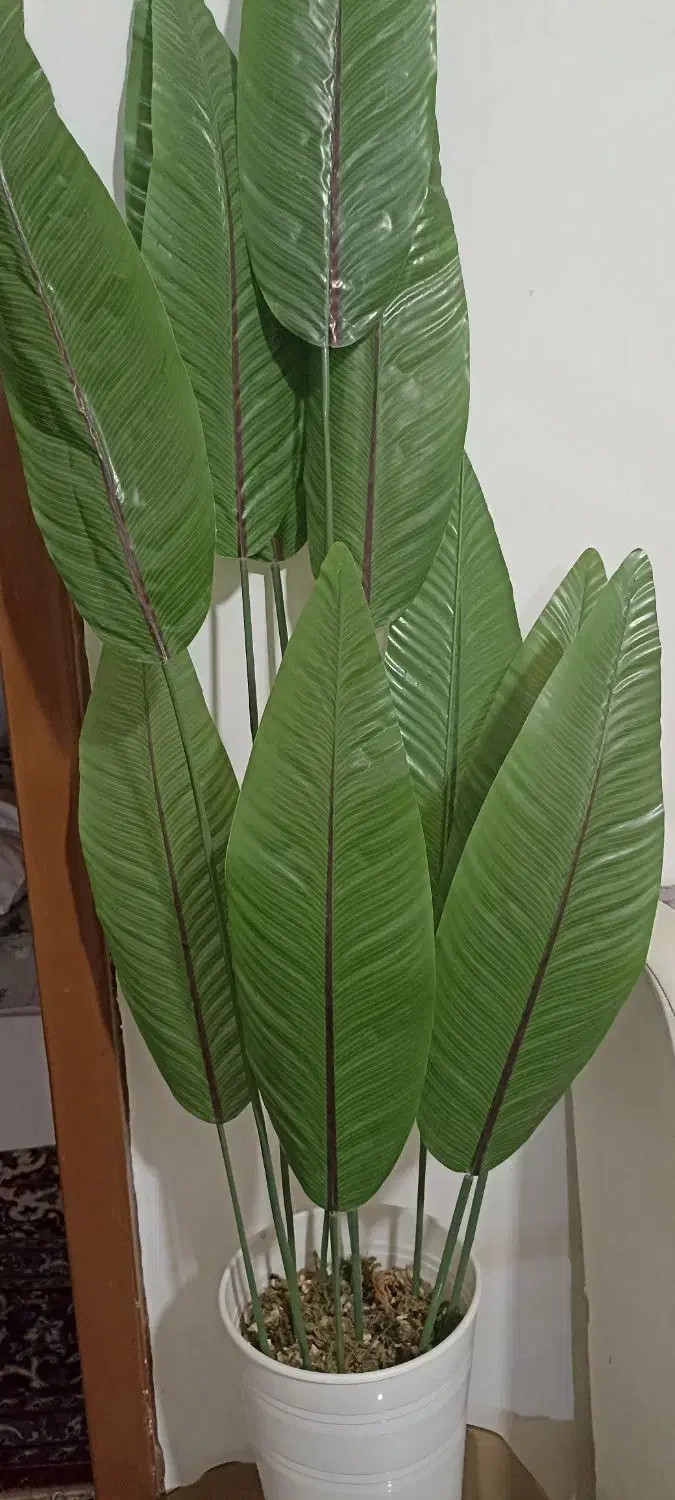 درخت چه|گل مصنوعی|زابل, |دیوار