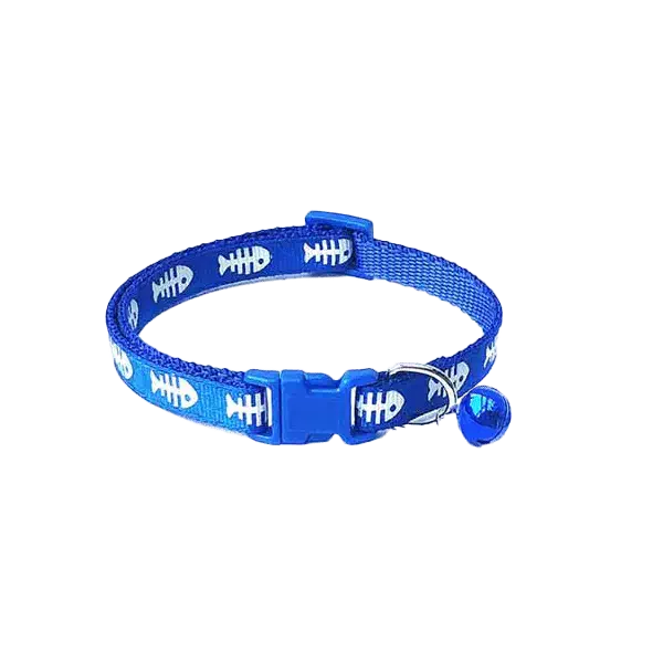 گربه گمشده|حیوانات|نوشهر, |دیوار