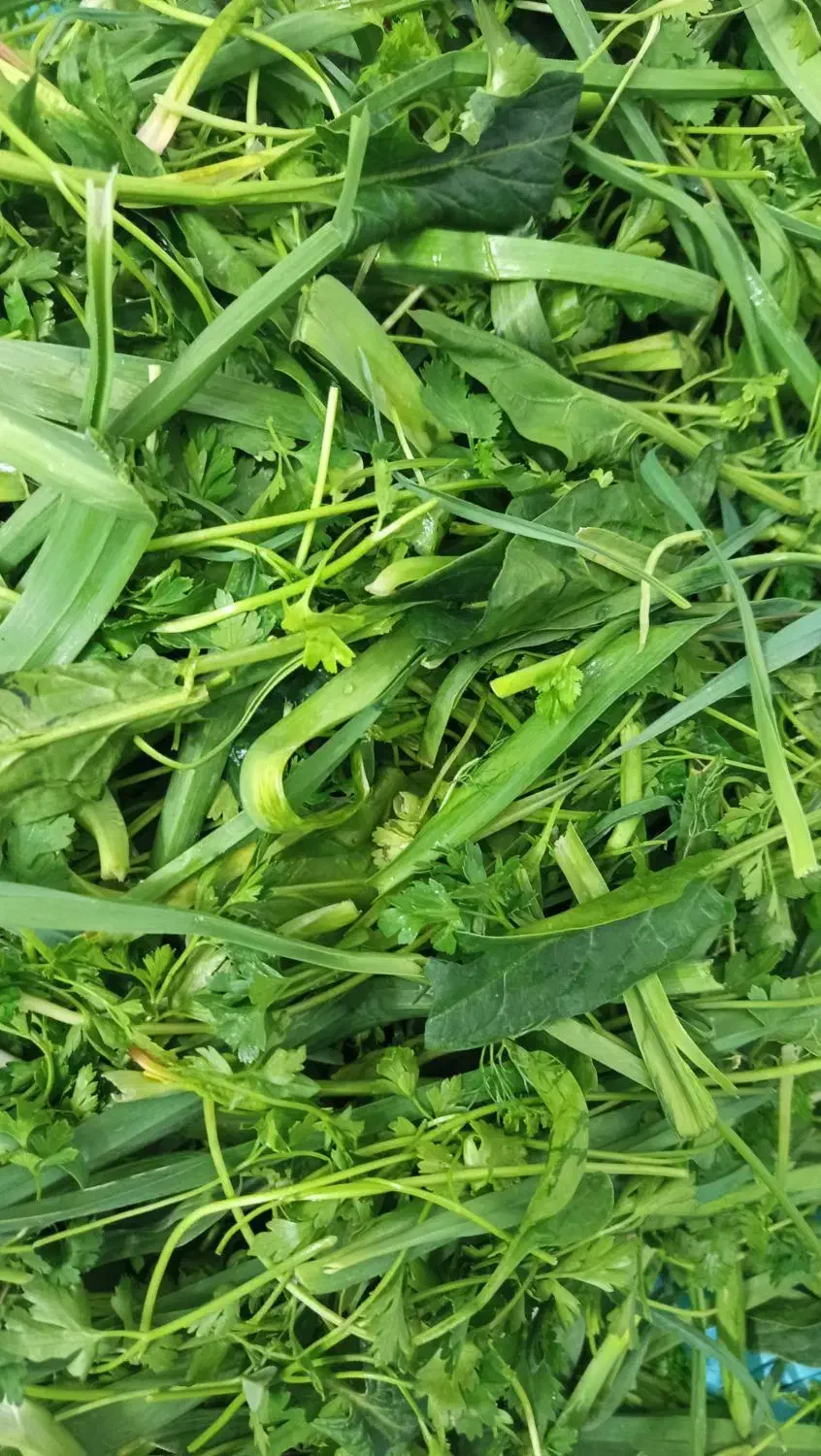 سبزی خورشتی|خوردنی و آشامیدنی|خمینیشهر, |دیوار