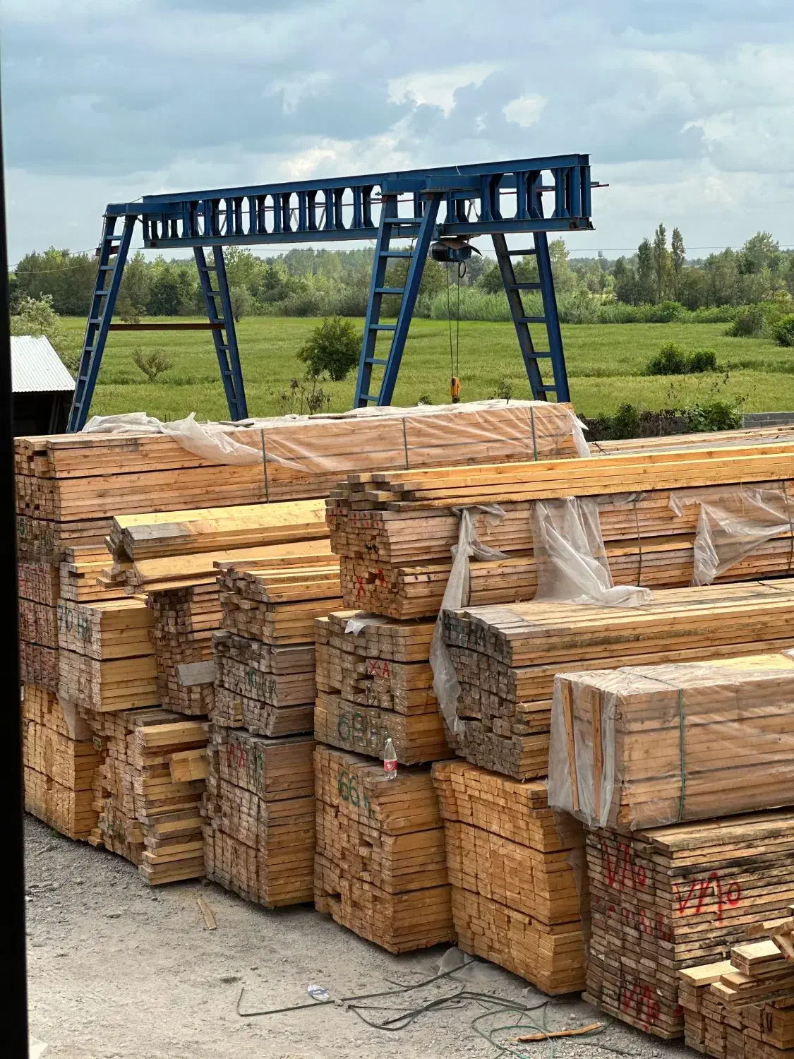 چوب نراد روسی حافظی با بالاترین کیفیت|مصالح و تجهیزات ساختمان|آستانه اشرفیه, |دیوار