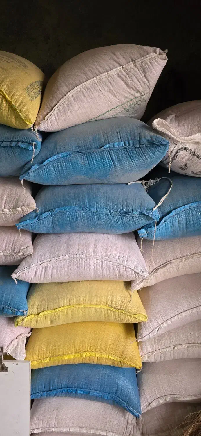 گندم بذری پیشگام|عمدهفروشی|شیروان (لرستان), |دیوار