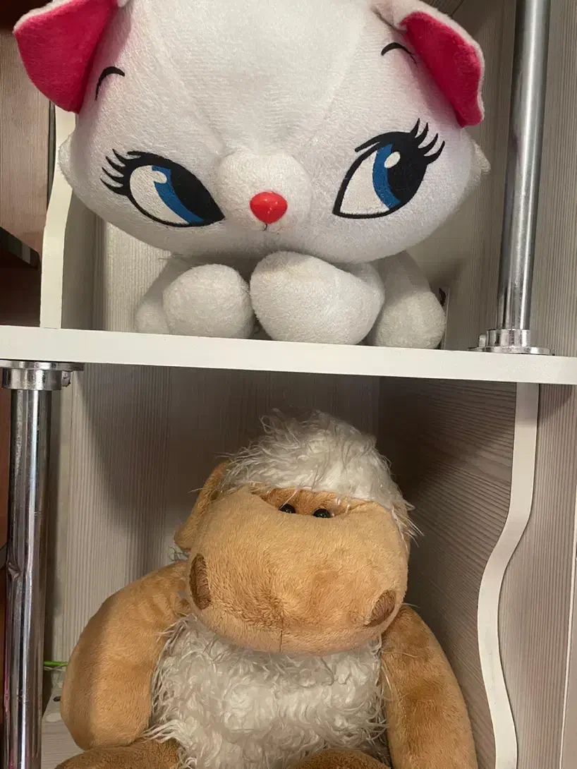 عروسک|اسباب‌‌بازی|تهران, تسلیحات|دیوار