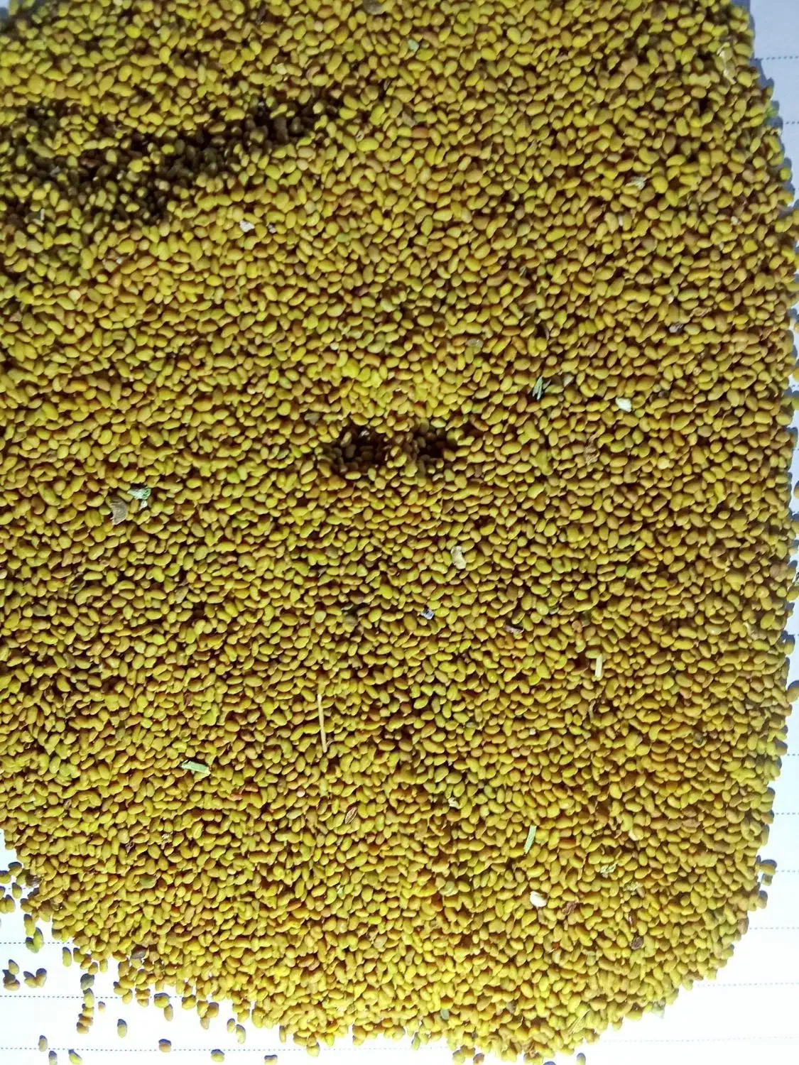 بذریونجه|گل و گیاه طبیعی|چهاربرج, |دیوار