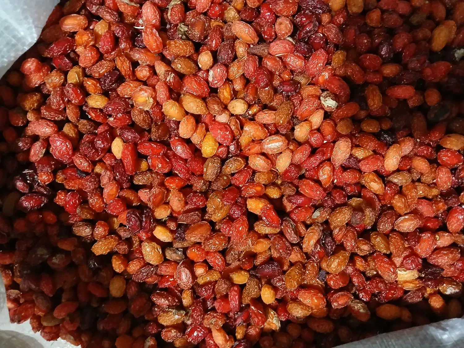 ذغال خشک دودی|خوردنی و آشامیدنی|جلفا, |دیوار