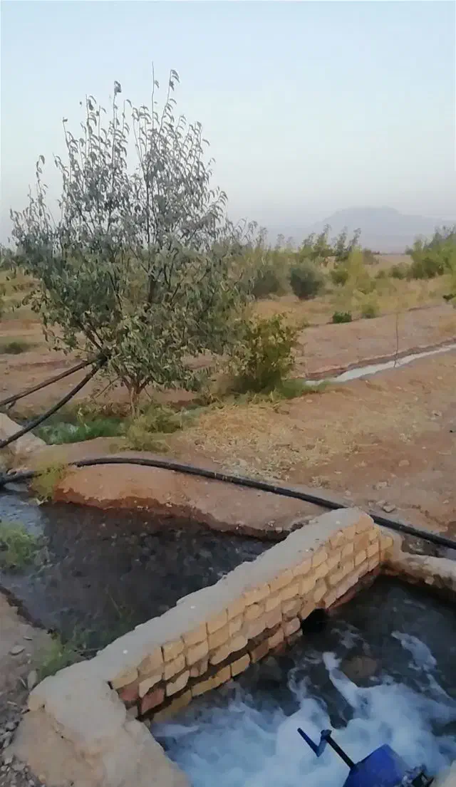 باغ بهمراه آب|فروش زمین و ملک کلنگی|خوسف, |دیوار