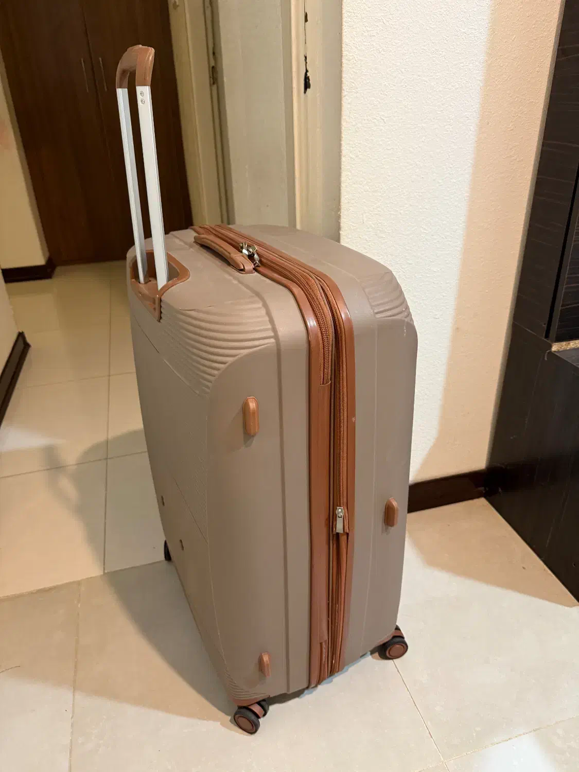 چمدان|کیف، کفش، کمربند|بوشهر, |دیوار