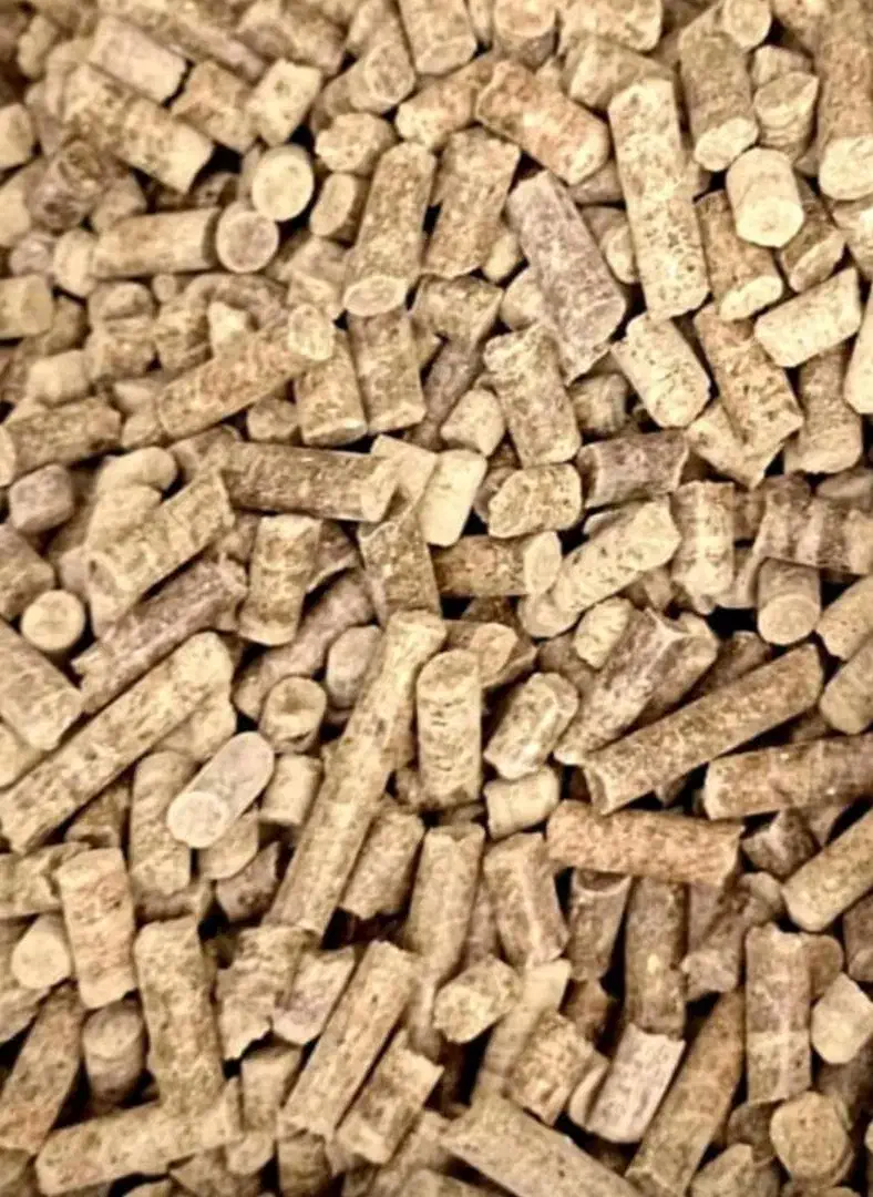 منشی دفتر فروش جوجه و نهاده های دامی|استخدام بازاریابی و فروش|صومعه‌سرا, |دیوار