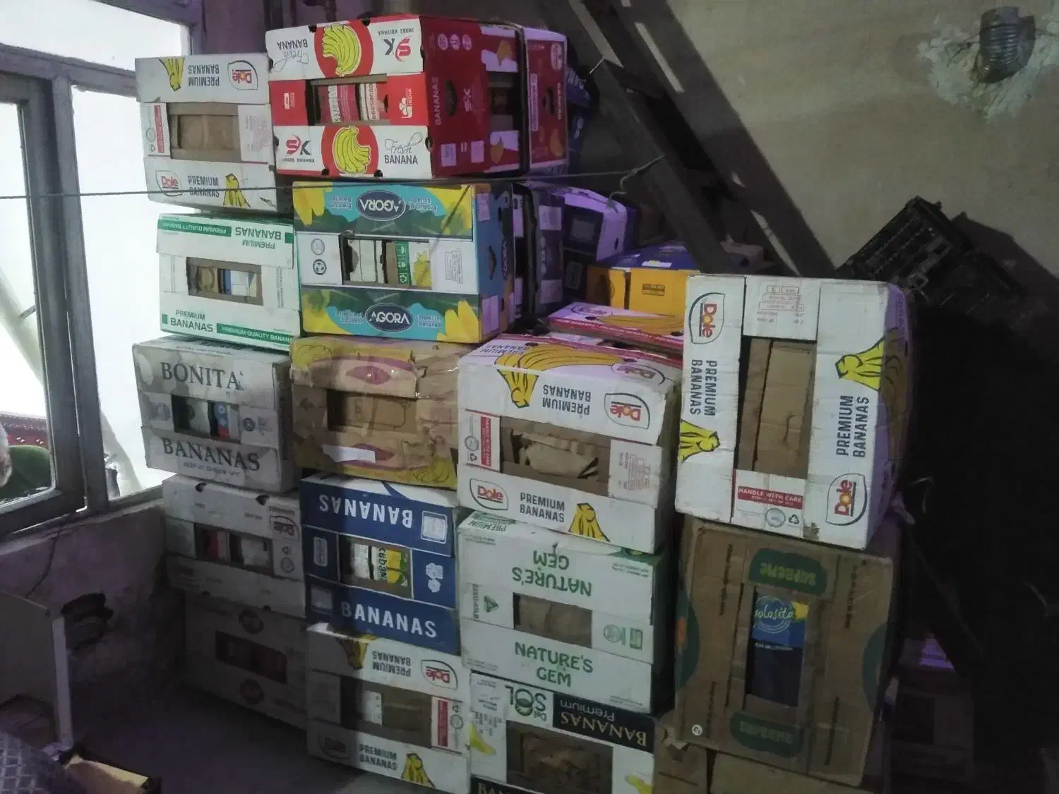 فروش کارتن موز|ابزارآلات|دیواندره, |دیوار