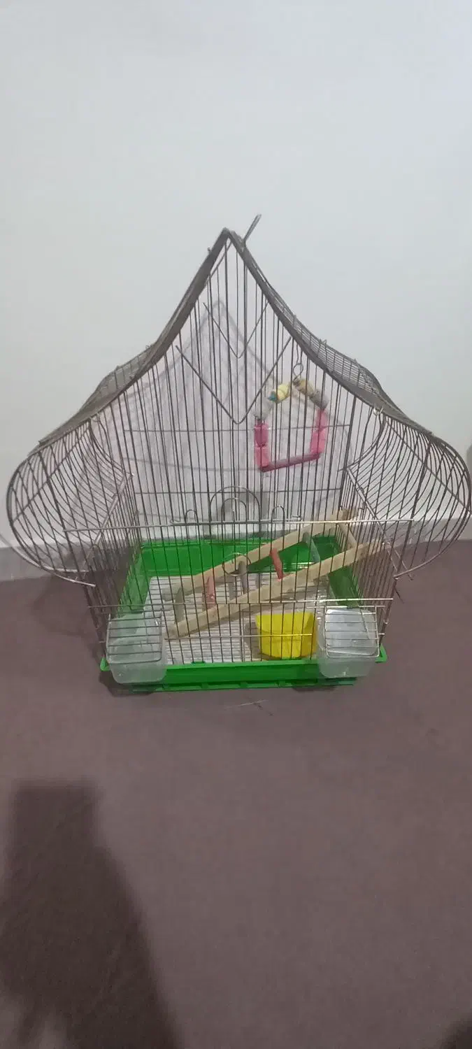 قفس فنچ طوطی نو سالم قیمت مقطوع تخفیف دارد|لوازم جانبی حیوانات|مشکین‌دشت, |دیوار