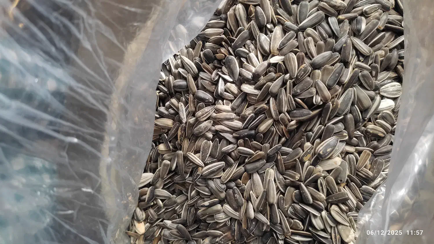 تخمه مناسب پرنده|لوازم جانبی حیوانات|تهران, بهمن یار|دیوار