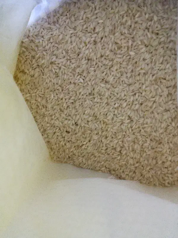 برنج|خوردنی و آشامیدنی|اهواز, حصیرآباد|دیوار