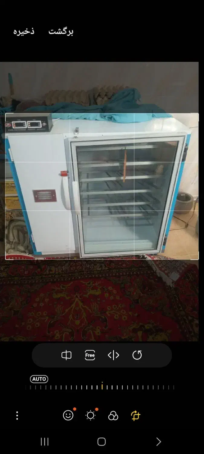 دستگاه جوجه کشی اتوماتیک ۱۰۰۸ تایی کاکل پری|حیوانات مزرعه|باشتین, |دیوار