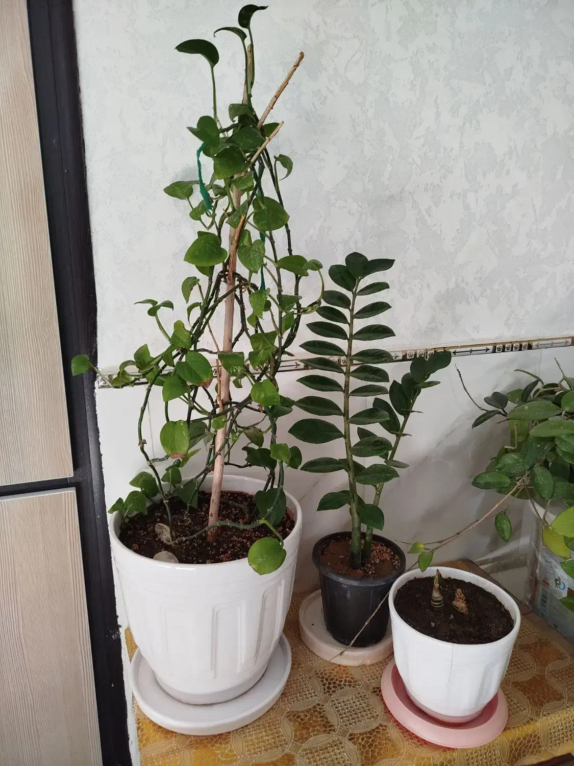 وسایل منزل|حراج|همدان, |دیوار