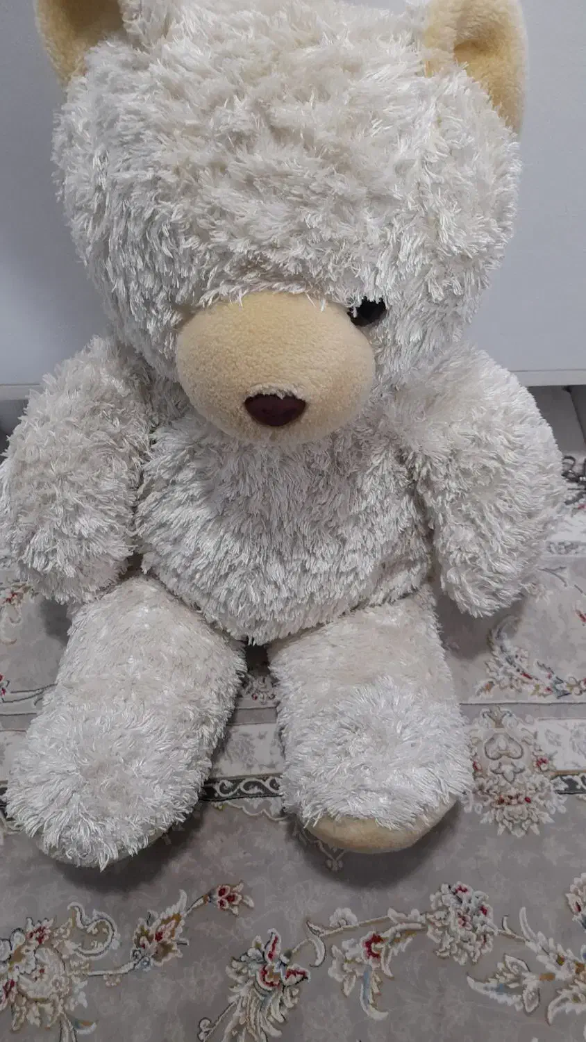 عروسک خرسی|اسباب‌بازی بچه|بندرعباس, |دیوار