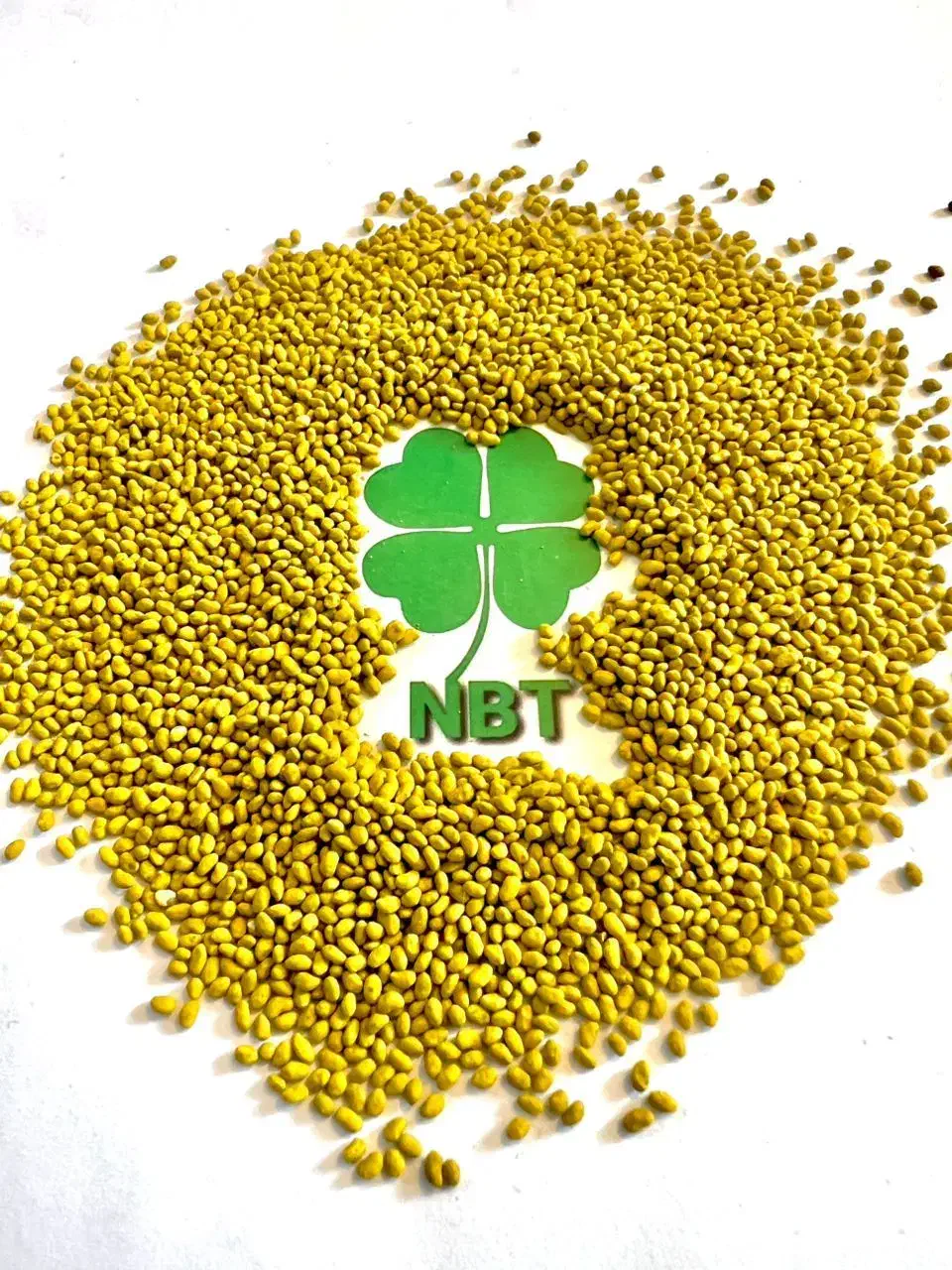 تخم بذر یونجه صادراتی|عمده‌فروشی|خرم‌آباد, |دیوار