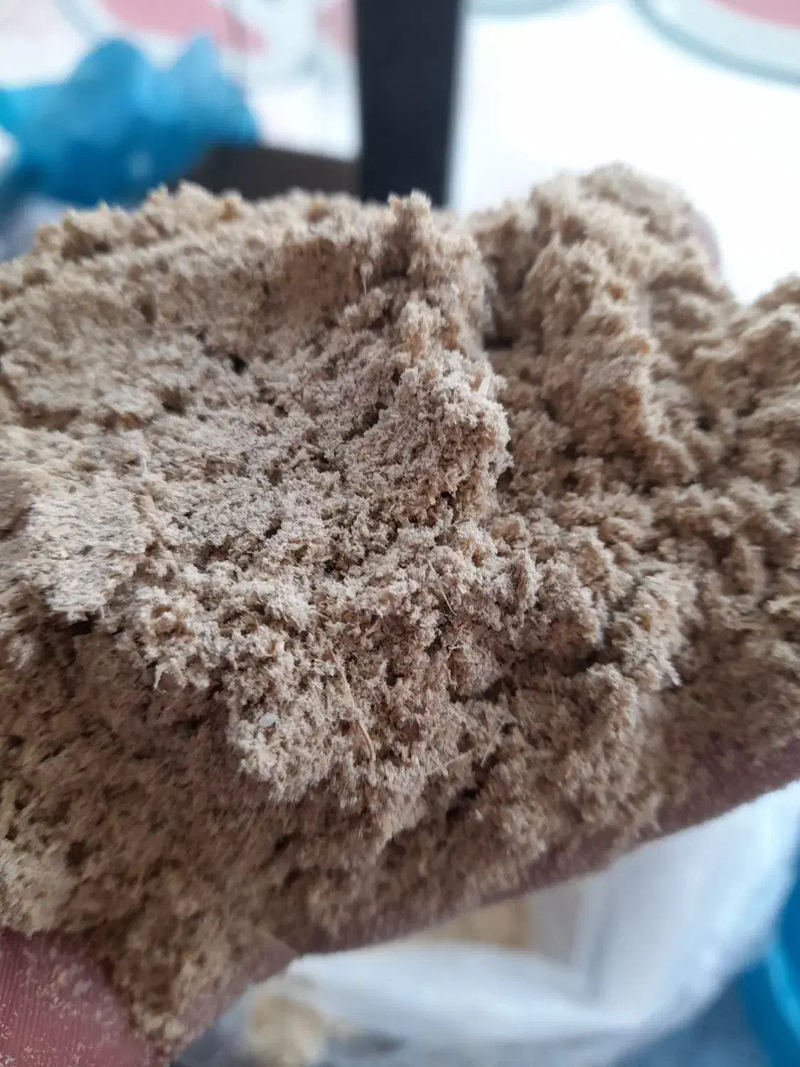 سبوس برنج|لوازم جانبی حیوانات|احمدسرگوراب, |دیوار